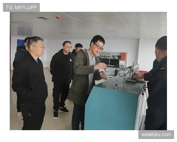 拉菲尼亚是否上限有限？技术短板与发展潜力深度解析